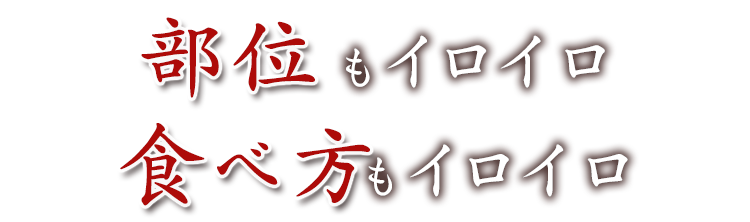 部位もイロイロ