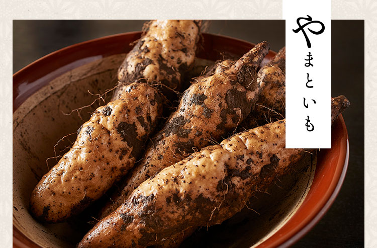 やまといも